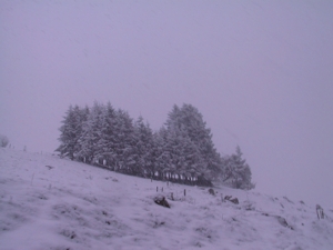 Winterstimmung auf dem Schauinsland bei Freiburg